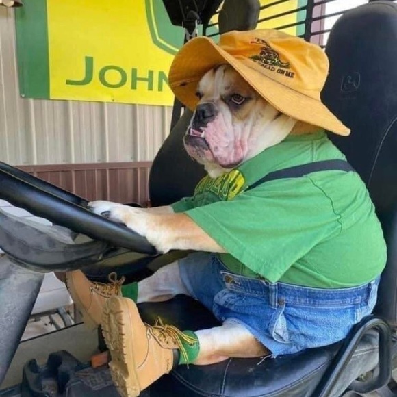 Meet your Posher, Rick - Picture 1 of 1